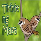 Pinoy Kid Song Tiririt ng Maya
