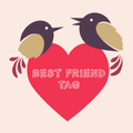 Best Friend Tag Questions