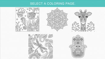 Zen: Coloring book for adults capture d'écran 2