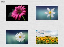 Jigsaw puzzles for Adults. screenshot 1