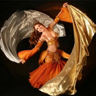 Iranian Dance Music Collection-icoon