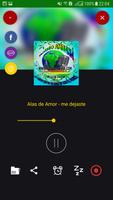 Radio Ambana Bolivia poster