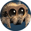 Lucas the Spider Lucas APK