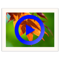 Photo Slideshow