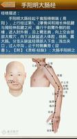 经络穴位图解 تصوير الشاشة 3