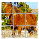 Pony Jigsaw Puzzle (FREE) APK