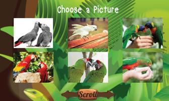 Parrot Jigsaw Puzzles : Macaw imagem de tela 1