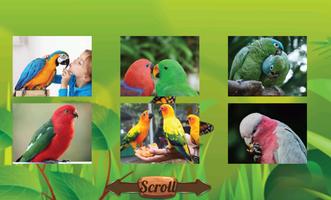 Parrot Jigsaw Puzzles : Macaw imagem de tela 2