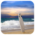 Surf Jigsaw
