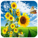 Spring Scene Jigsaw APK