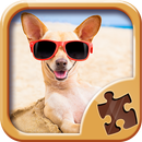 Fun Puzzles Jigsaw APK