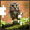 Puzzles for adults Owls