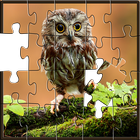 Puzzles for adults Owls icône