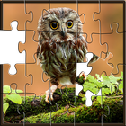 Puzzles for adults Owls icon