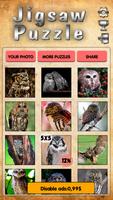 Puzzles for adults Owls Affiche