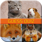 Animal Quiz Game icône
