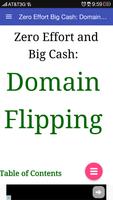 Make Money Domain Flipping 101 الملصق