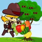 Fruit Catcher icône