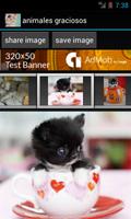 funny animals penulis hantaran