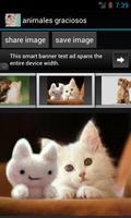 funny animals ภาพหน้าจอ 1