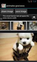 funny animals ภาพหน้าจอ 2