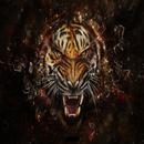 wild cats APK