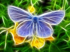 Butterflies imagem de tela 3