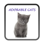 Adorable Cats Live Wallpaper-icoon