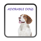 Adorable Dogs Live Wallpaper icône