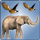 Visit Jurassic Zoo APK