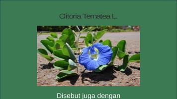 برنامه‌نما Tanoba (Tanaman Obat) عکس از صفحه