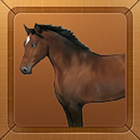 Hourse Race2 icon