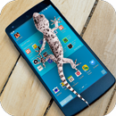 Gecko Bildschirm Furchtsam APK