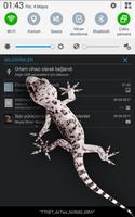 Gecko Bildschirm Furchtsam Screenshot 2