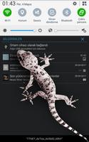 Gecko Screen Scary Joke скриншот 2