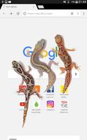 3 Schermata Schermo Gecko