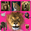 Animals Sounds Mix