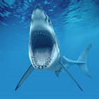 Shark Week Countdown icône