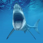 Shark Week Countdown icon