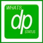 Whats DP and Status icône