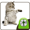 Sweet Kitty - GO Locker Theme