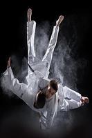 Karate poster