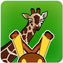 APK Slingshot Free
