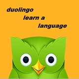 Duolingo Learn a Language icône