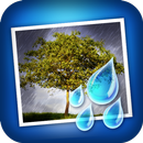 Rainy Daze APK