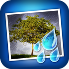 Rainy Daze icône