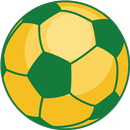 Fifa World Cup Quest APK