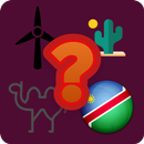 Guess the country with picture APK