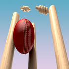 Cricket Score Sheet icône