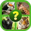 Adivina el Animal-APK